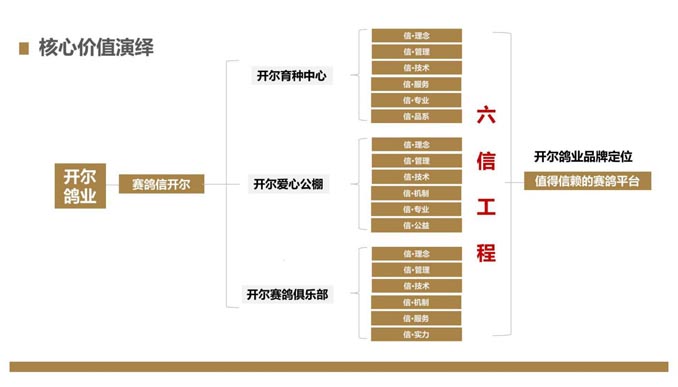 開爾鴿業(yè)品牌全案服務