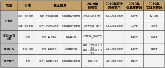 開爾鴿業(yè)品牌全案服務