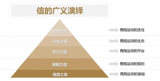 開爾鴿業(yè)品牌全案服務