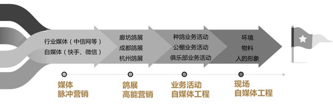 開爾鴿業(yè)品牌全案服務